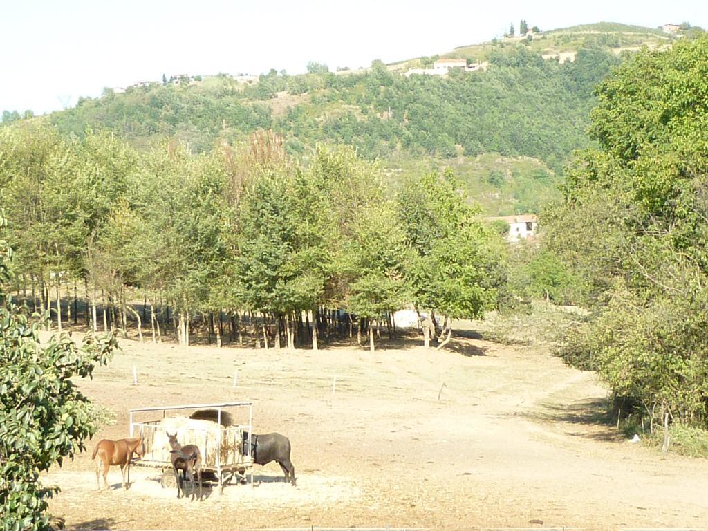 Il Grappolo In Langa Villa Monastero Bormida Kültér fotó