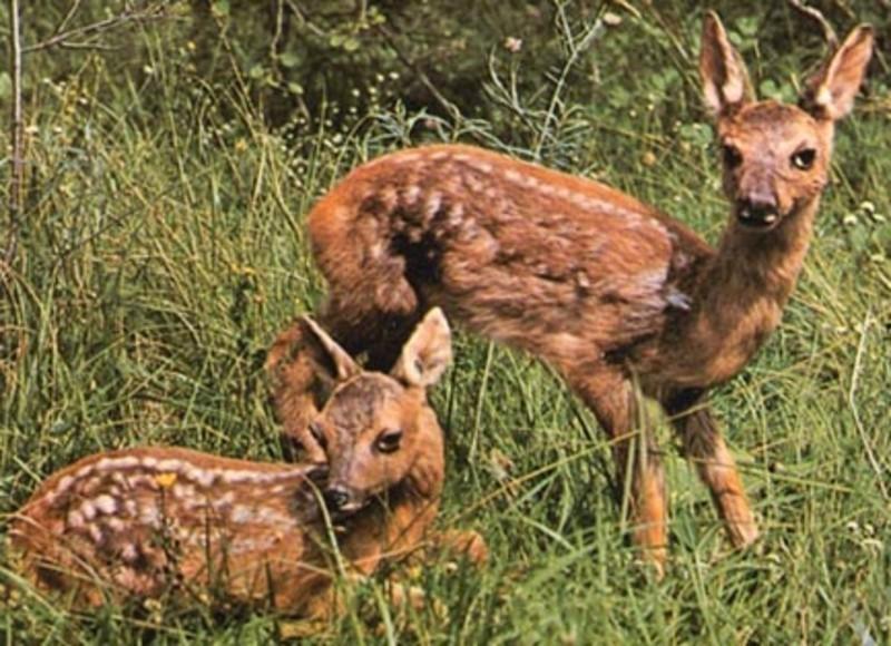 Il Grappolo In Langa Villa Monastero Bormida Kültér fotó